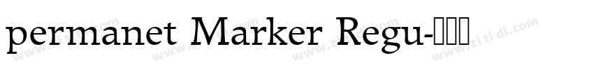 permanet Marker Regu字体转换